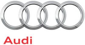 Audi 8l9-103-951 Genuine Vacuum Modulator Ball Stud