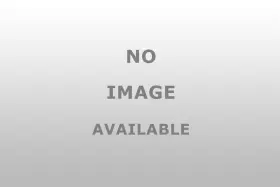 667-010 Dorman 667 010 Actuator