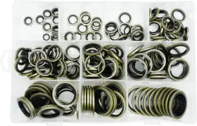 170-10g Dsnaduo 170pcs 10 Sizes Self-centered Bonded Seal Oil Washers 0.236 To 0.906 Inches