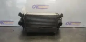 317-10045 Ford Truck 18 F150 3.0l Turbo Intercooler Assembly