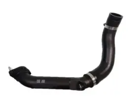 17283-5aa-a01 Honda Genuine Inlet Tube