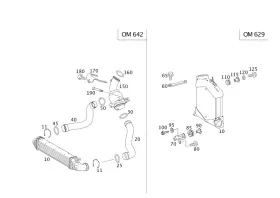 007-993-43-01 Mercedes-benz Genuine Catch Spring