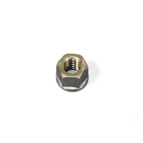 4429825 Ram Oe For 2500 2011-2018 Turbocharger Nut