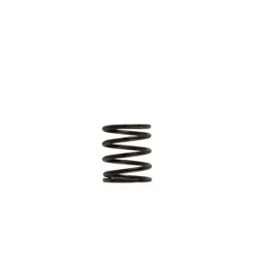 Tlx-turts-0505-2001-cl360a70 Turbosmart Wg40 Inner Spring 3psi Brown/black