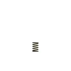 Tlx-turts-0550-3081-cl360a70 Turbosmart Wg38/40 Gen-v Spring 3 Psi Inner Black