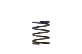 Ts-0505-2003 Turbosmart Wastegate Spring 7 Psi Brown/purple Middle