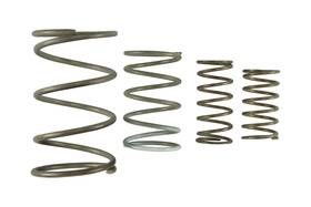 Turbosmart Ts-0550-3152 Genv Wg60 Spring Replacement Kit