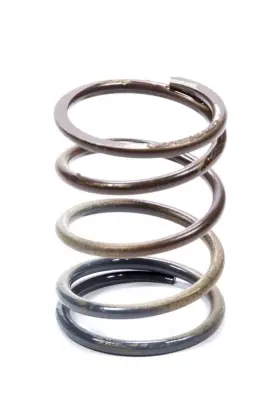 Ts-0505-2002 Turbosmart Usa - Wastegate Inner Spring 5psi Brown/gray