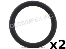 40-76500-00 Victor Reinz For Audi / Vw 2006-2014 Turbo Drain O-ring Lower 2 Pcs