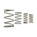 Turbosmart Wastegate Springs TS-0550-3152 New. Price: $102.19.