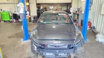 Intercooler 1.6L Turbo Fits 20-23 Forte 1087660 Used. Price: $166.50.