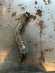 2010 Mini Cooper Oil Turbocharged Line Hose 1.6 V758383880 Used. Price: $22.50.