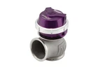 Turbosmart WG50 Gen V Pro-gate 14PSI Purple External Wastegate TS-0554-1013 New. Price: $572.39.