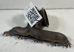 2019-2025 Bmw 330I 330E G20 Engine Exhaust Turbocharger Manifold 2.0L # 106350 Used. Price: $132.00.