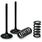 Pro-x 28.SIS3406-2 Steel Intake Valve And Spring Kit New. Price: $143.95.