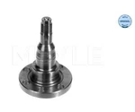 Knuckle, Wheel Suspension Meyle 1005011010 For Vw Passat Neu. Price: $35.41.