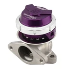 Turbosmart WG38 Gen V Ultragate 2 Bolt External Wastegate Purple TS-0551-1013 New. Price: $387.89.