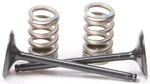 Pro X 28.SIS2414-2 Steel Valves And Spring Kits Intake New. Price: $155.95.