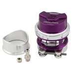 Turbosmart 6000-SERIES Bov Raceport Genv Purple High-flow Blow-off Valve New. Price: $320.39.