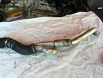 09-16 Bmw 353I Z4 Air Induction Pipe 3.0L Twin Turbo Os Used. Price: $76.49.