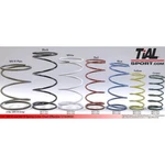 Tial Sport Wastegate Spring For Mv-r & Mv-s (white) 001988 New. Price: $18.99.