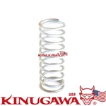 Kinugawa Bov Spring For Tial Q 50MMBLOW Off Valve - 9 Psi / White New. Price: $14.90.