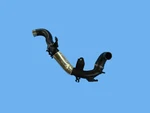 Genuine Mopar Charge Air Cooler Tube 68256150AA New. Price: $241.20.
