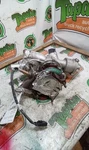 Turbo/supercharger 2.0L Fits 20-22 Audi Q7 3079140 Used. Price: $1169.99.