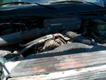 1995 Dodge Truck A/c Compressor Oem 6-239 TDODR2500 184K Miles Used. Price: $79.96.