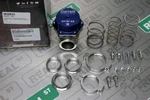 Garrett GVW-45 External Wastegate Kit 45MM V-band Blue Tial Mvr 44MM Wg Upgrade New. Price: $585.89.