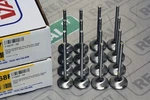 Ferrea Competition Plus Std Size Valves Fits Subaru Impreza Wrx EJ205 EJ207 New. Price: $579.60.