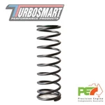 New * Turbosmart WG38/40/45 Hp 10PSI Inner Spring Wastegates Brown/orange Brand. Price: $55.78.