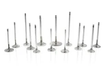 Ferrea F2235P Super Alloy Exhaust Valve Set For 2009-2012 Nissan Gt-r R35 VR38DE New. Price: $580.95.