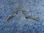2016-2019 Buick Cascada Air Intake Drain Tube Hose Pipe Oem 13254521 Gm Used. Price: $65.00.