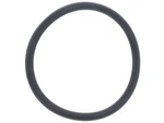 Victor Reinz 11417614770 O-ring Bmw X3 X1 528I 320I Xdrive 428I New. Price: $16.51.